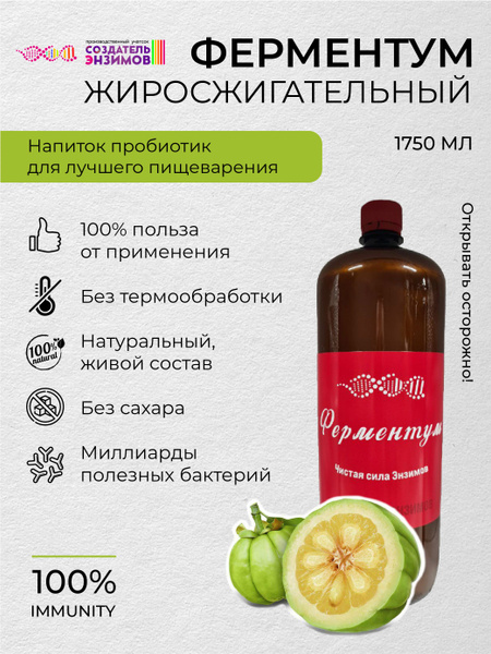 Ферментум Создатель Энзимов Жиросжигательный 1,75 л. ПЭТ купить на OZON ...