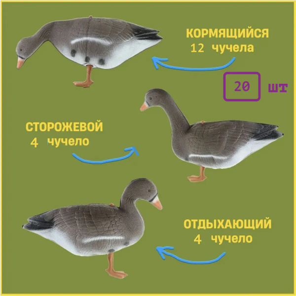 Чучело купить на OZON по низкой цене (1627933397)