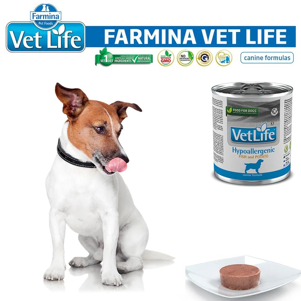 Фармина гипоаллергенный для собак рыба. Farmina vet Life Hypoallergenic для собак консервы. Фармина рыба картофель для собак.