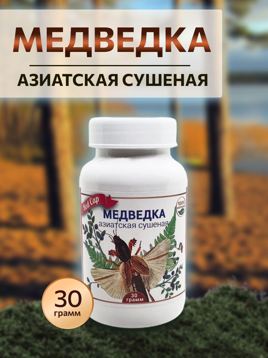 Медведка азиатская сушеная 30 грамм