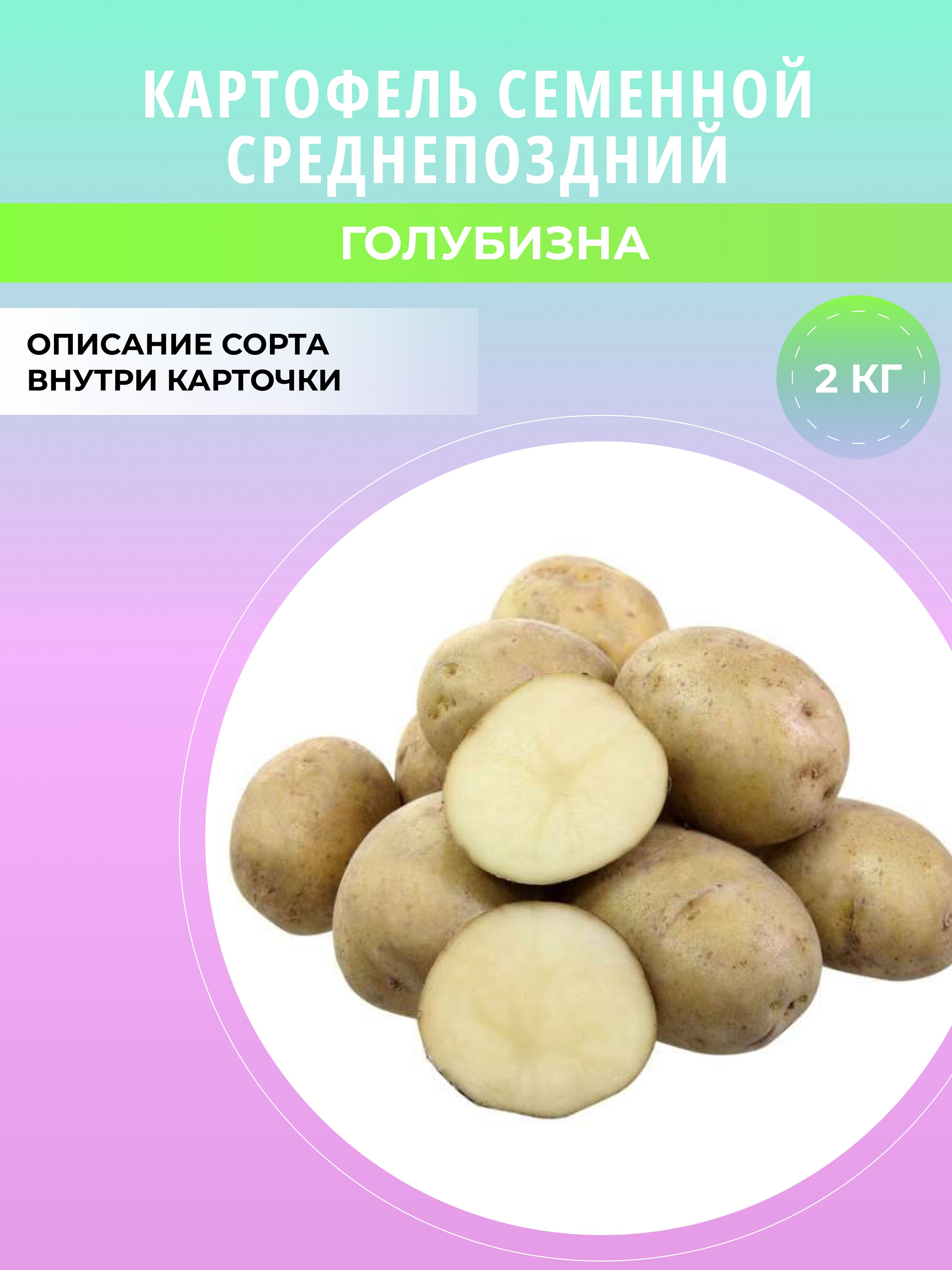 Картофель Уника Купить