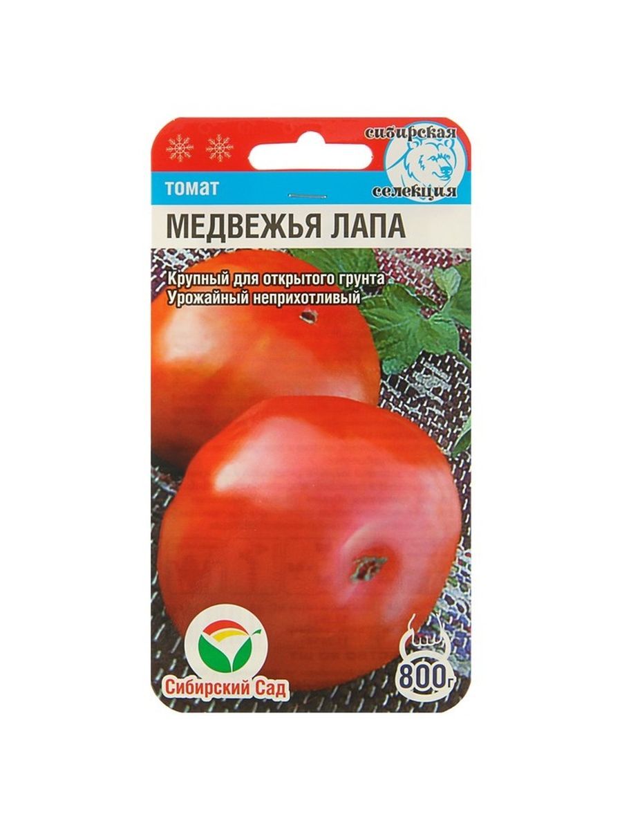 Томаты сорт медвежья лапа отзывы фото