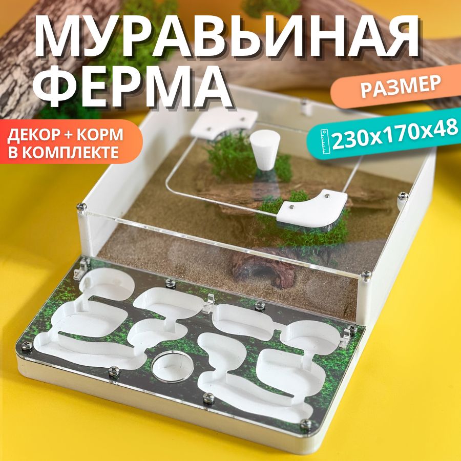 Средняя гипсовая муравьиная ферма AntBerry. ВСЕ включено. Формикарий для муравьев