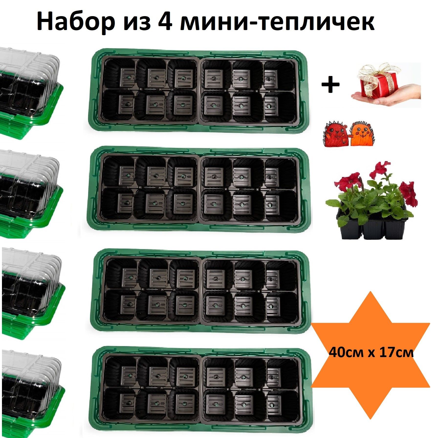 Мини-тепличка минитепличка 0.4х0.2х0.08м, ABS пластик