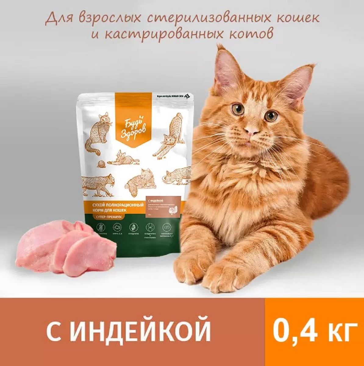 Сухой Корм Для Кошек Будь Здоров Купить