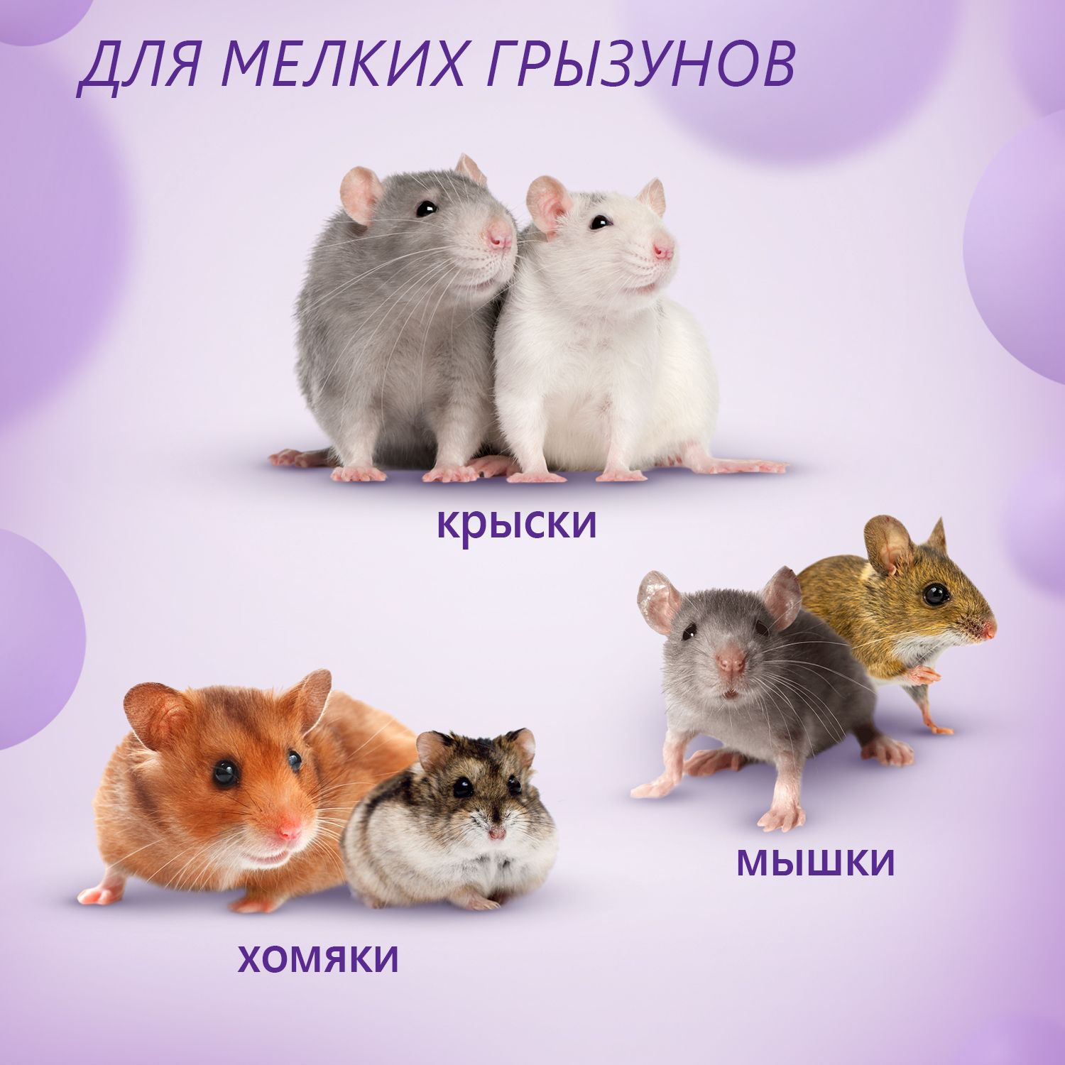 Металлическая клетка с легким съемом поддона для уборки, трехэтажная д(图3)