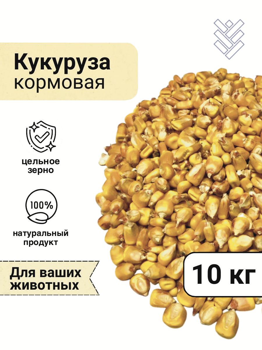 Семена Кормовой Кукурузы Купить
