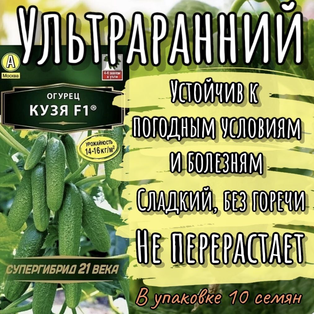 Семена Огурец Кузя F1, 10 семян (Аэлита)