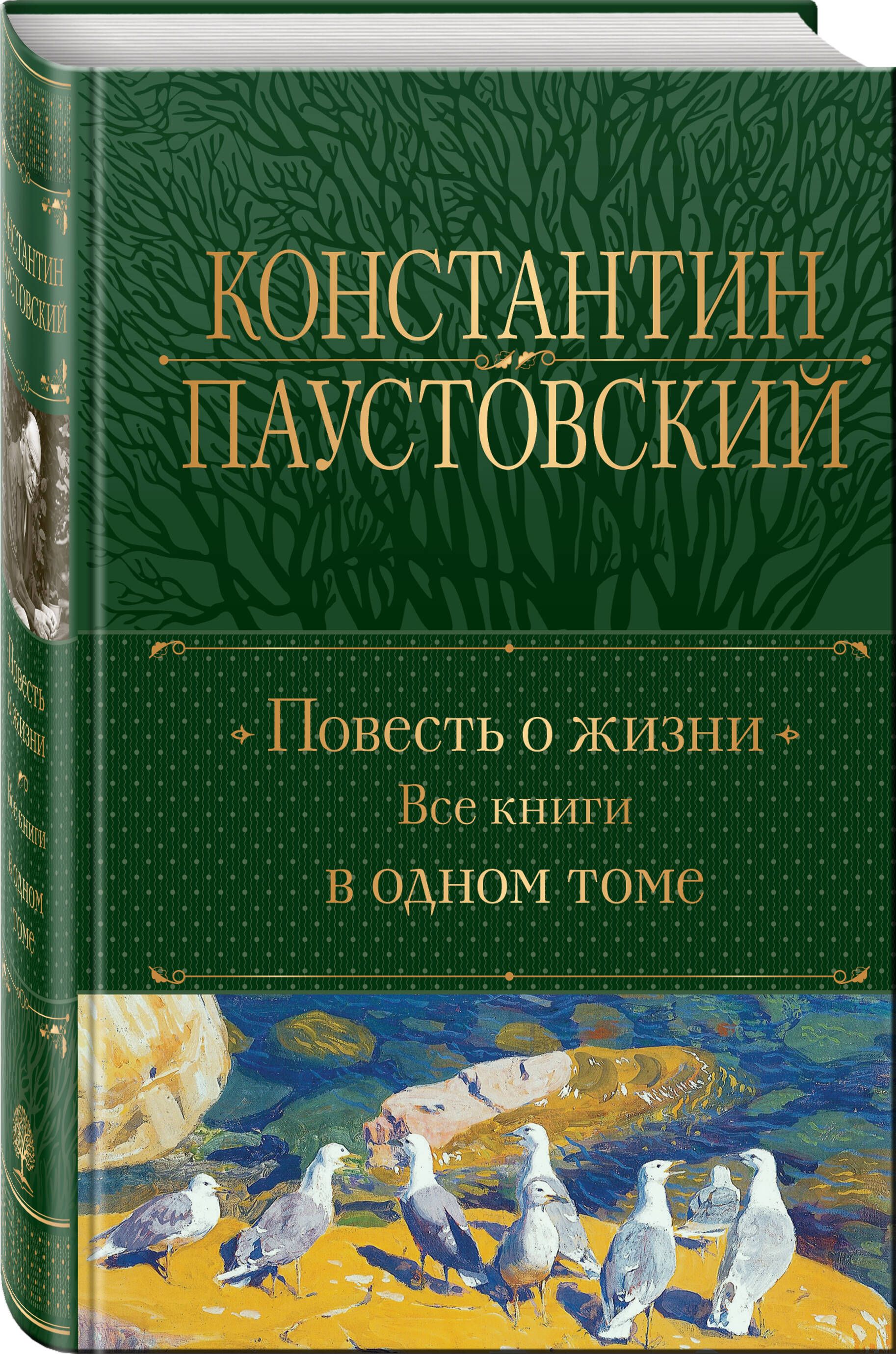 Повесть о жизни. Все книги в одном томе | Паустовский Константин Георгиевич