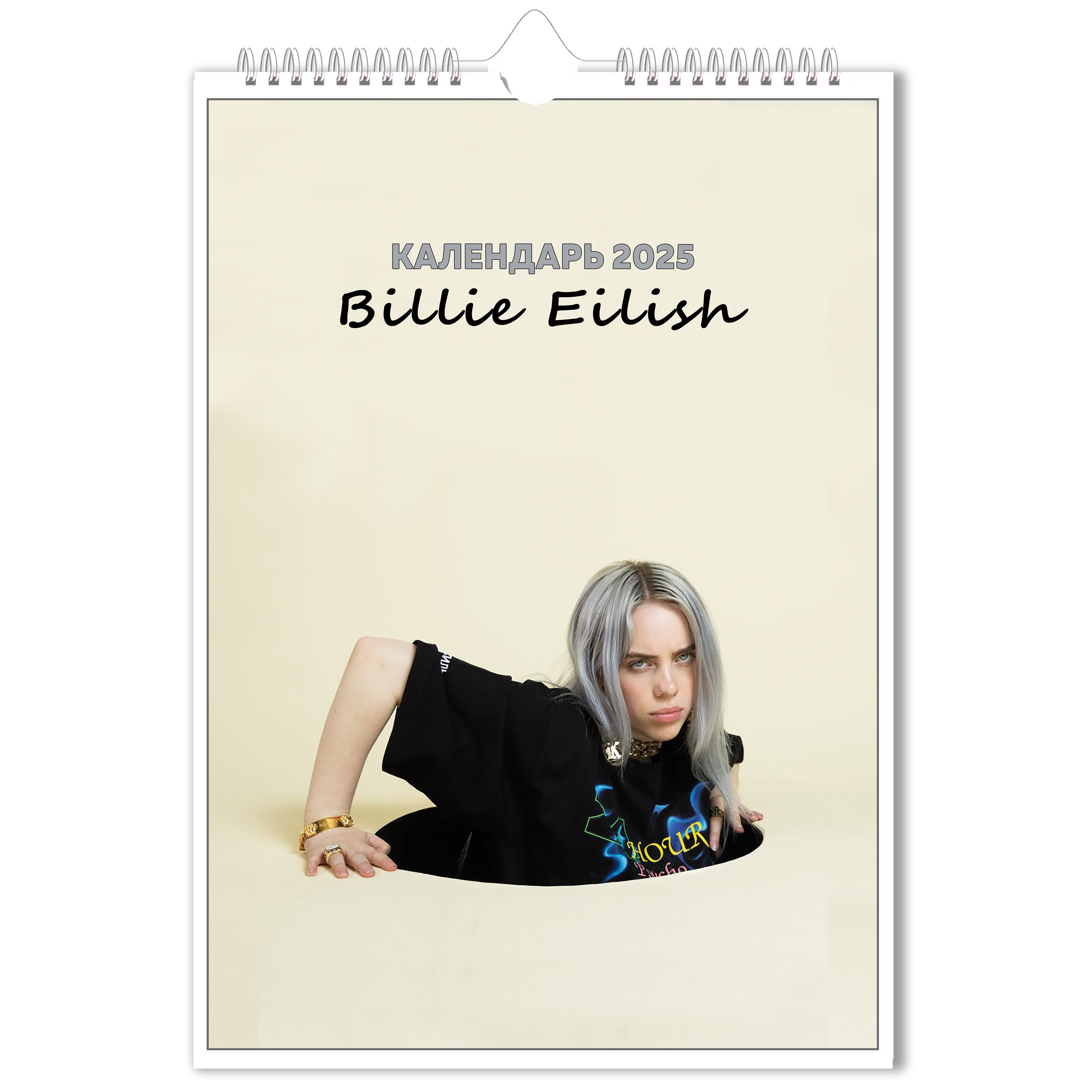 Настенный перекидной календарь 2025 Билли Айлиш Billie Eilish A3 - купить с  доставкой по выгодным ценам в интернет-магазине OZON (1054700102)