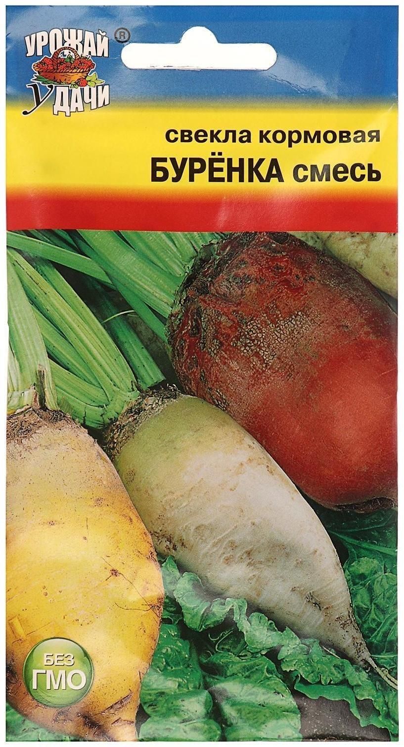 Семена Кормовой Свеклы Купить