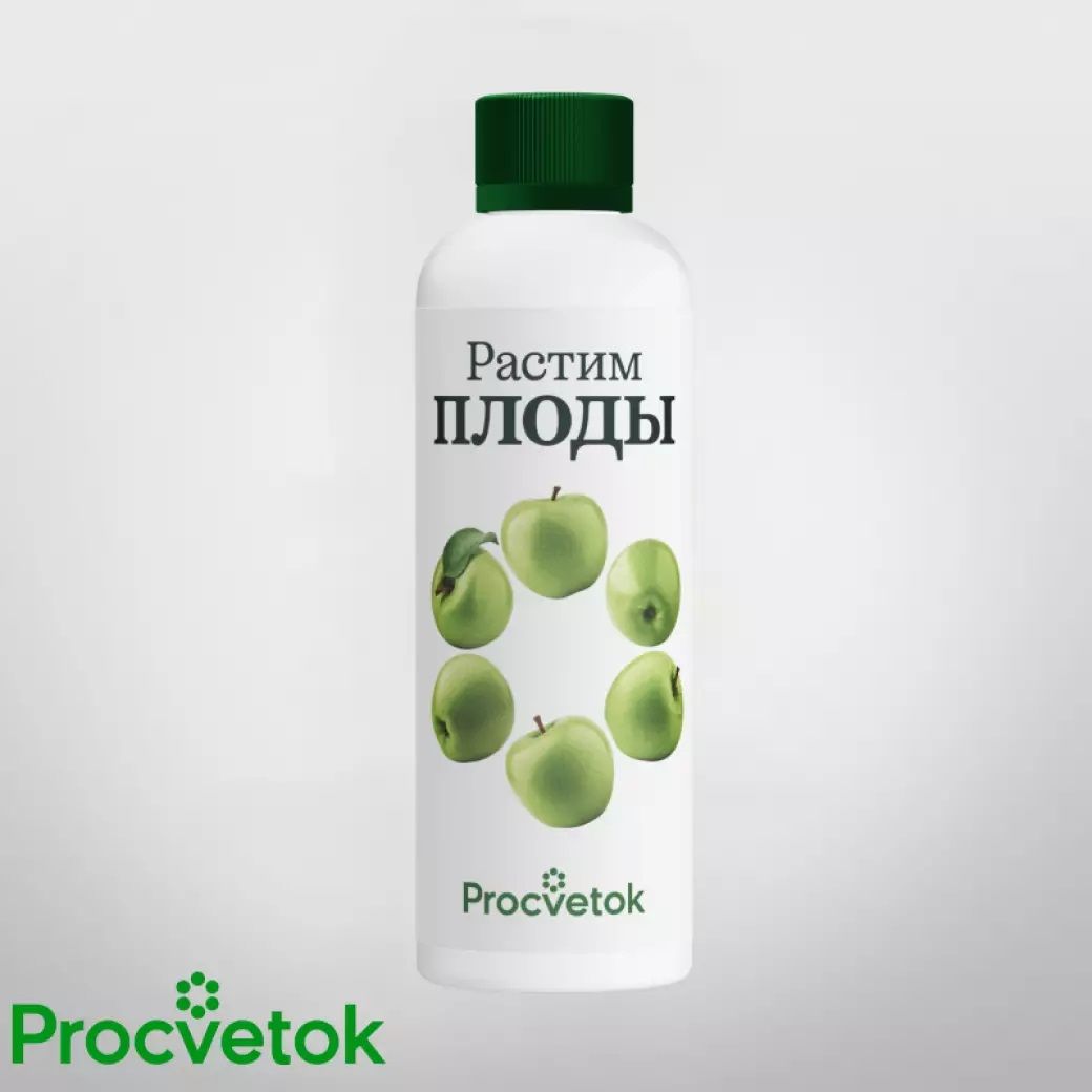 Тафрина черемухи. Жаботикаба дерево с плодами. Актинидия росток. Маранг. Экзотические фрукты названия.