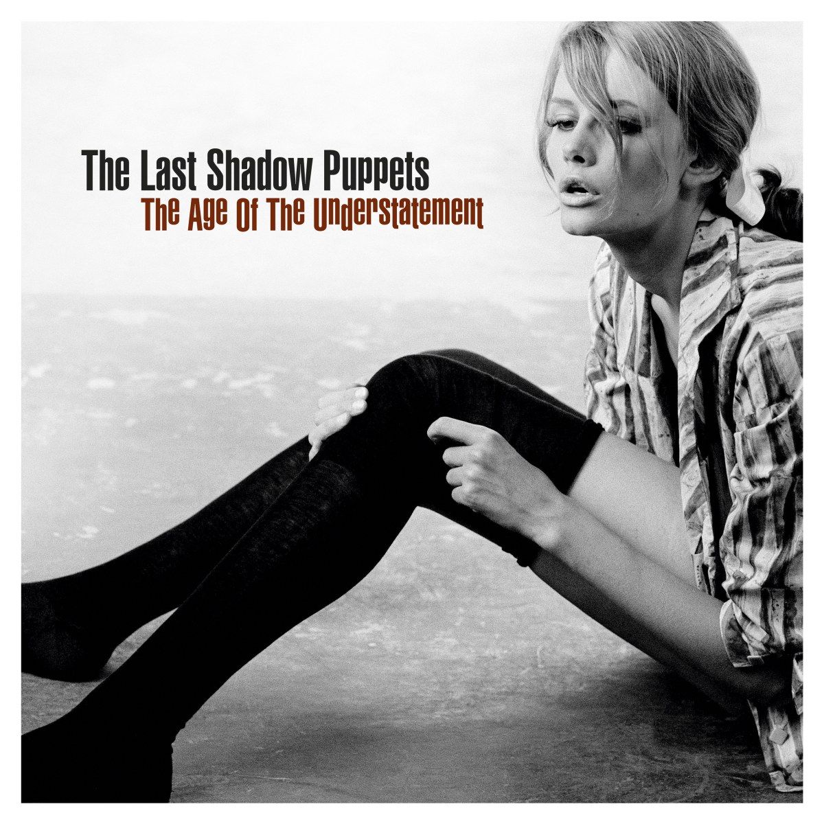 TheLastShadowPuppets-TheAgeOfTheUnderstatementвиниловаяпластинка