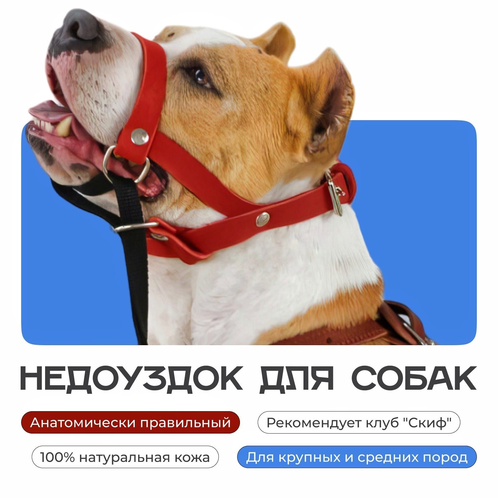Недоуздок (Халти) корректор с поводком-перестежкой, намордник для тренировки для собак ApexMak. Обхват морды 24-41 см, шеи 38-64, цвет черный, натуральная кожа. купить на OZON по низкой цене (1620869978)