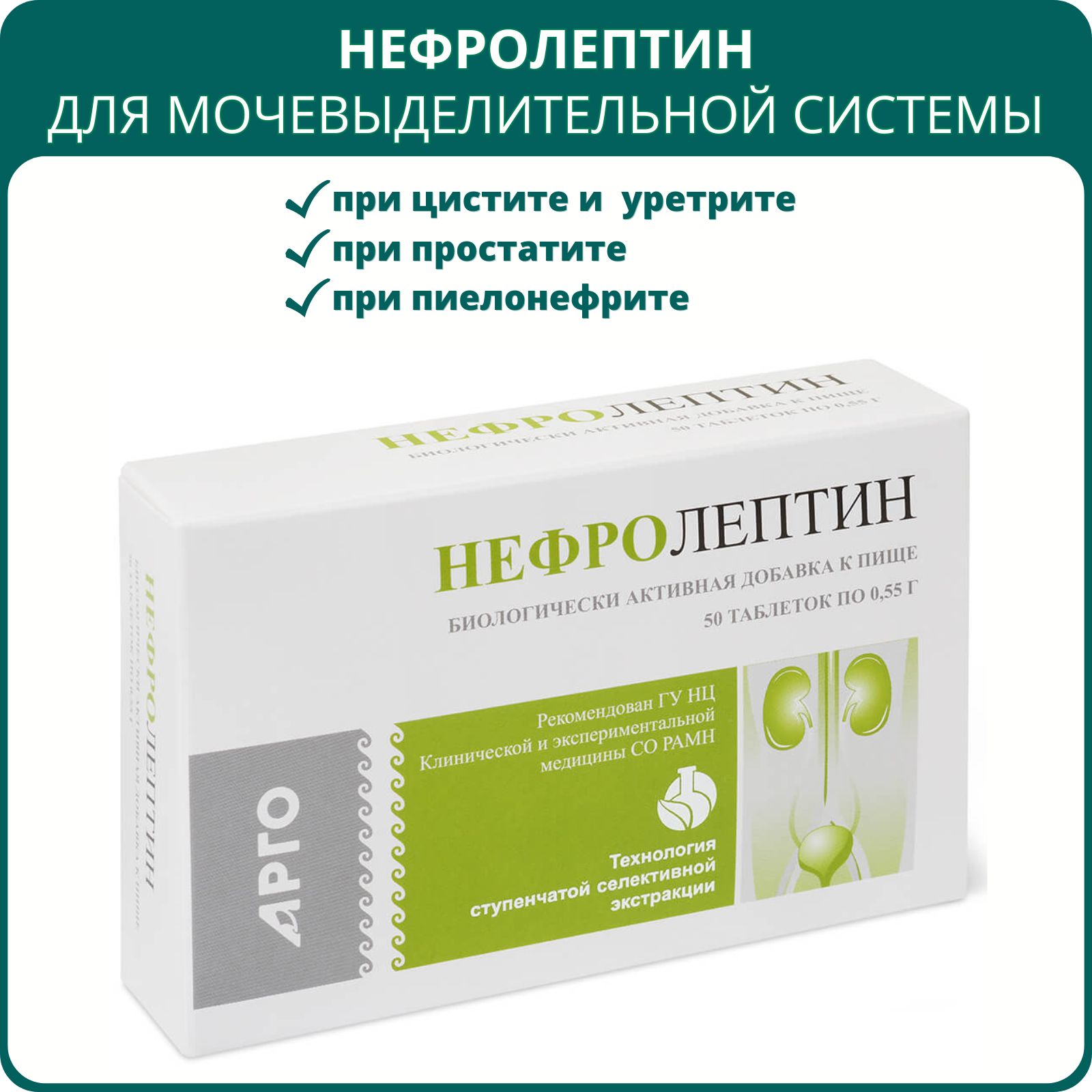 Нефролептин, таблетки, 50 шт., Апифарм, Арго. БАД для почек