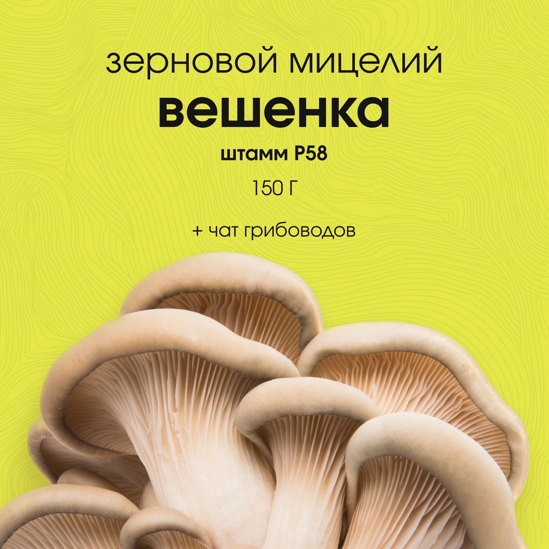 Мицелии Вешенки и Шиитаке: технология выращивания на пнях