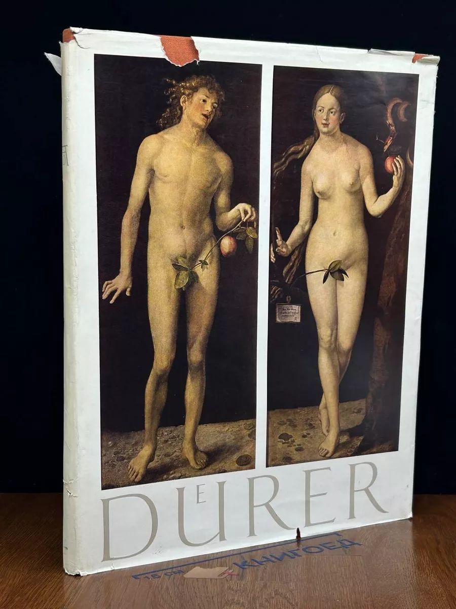 Durer