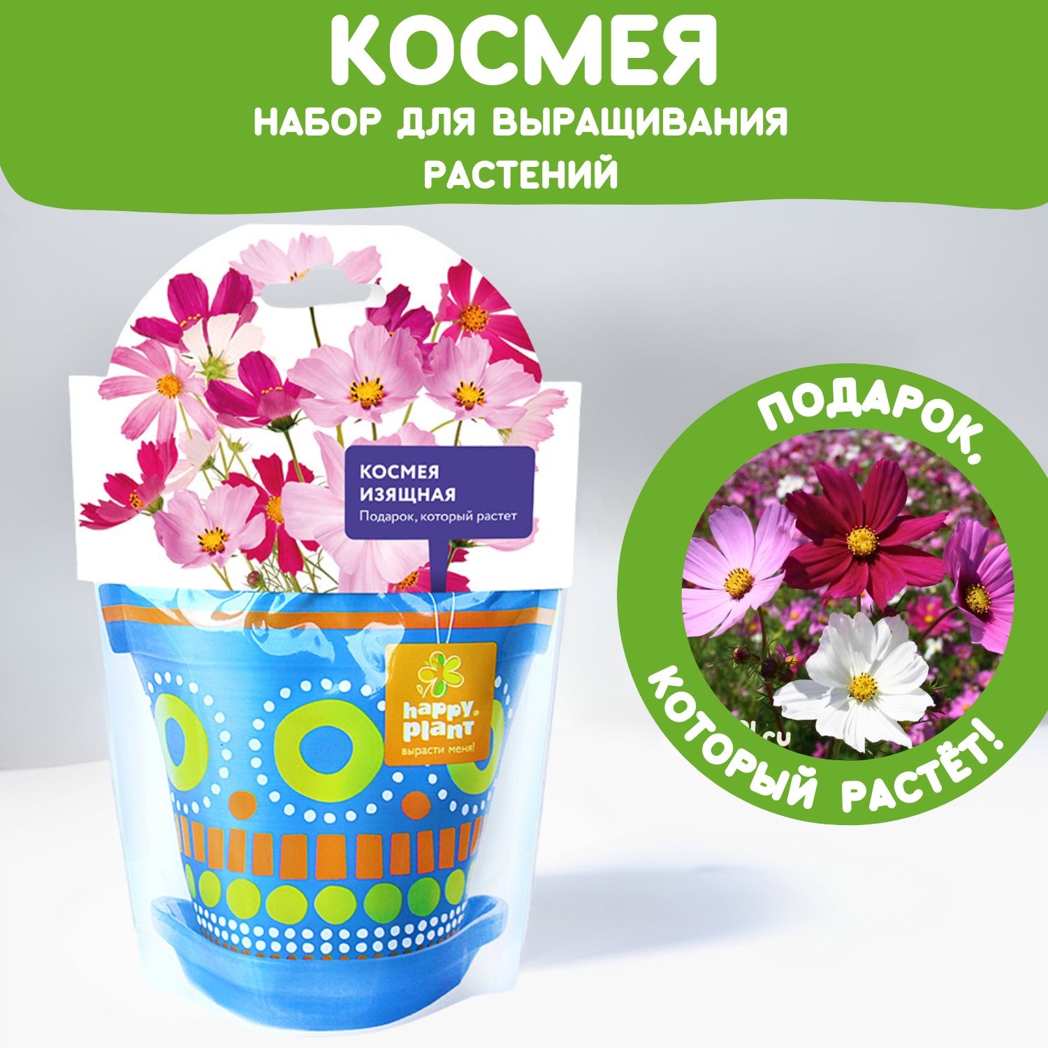 Набор для выращивания растений Happy Plant Космея изящная