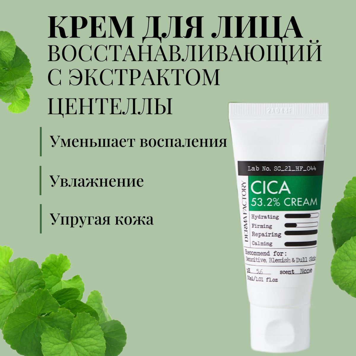 Derma Factory крем для лица с экстрактом центеллы азиатской, 30 мл