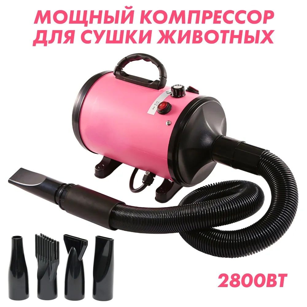 Фен для сушки животных. Фен для сушки животных