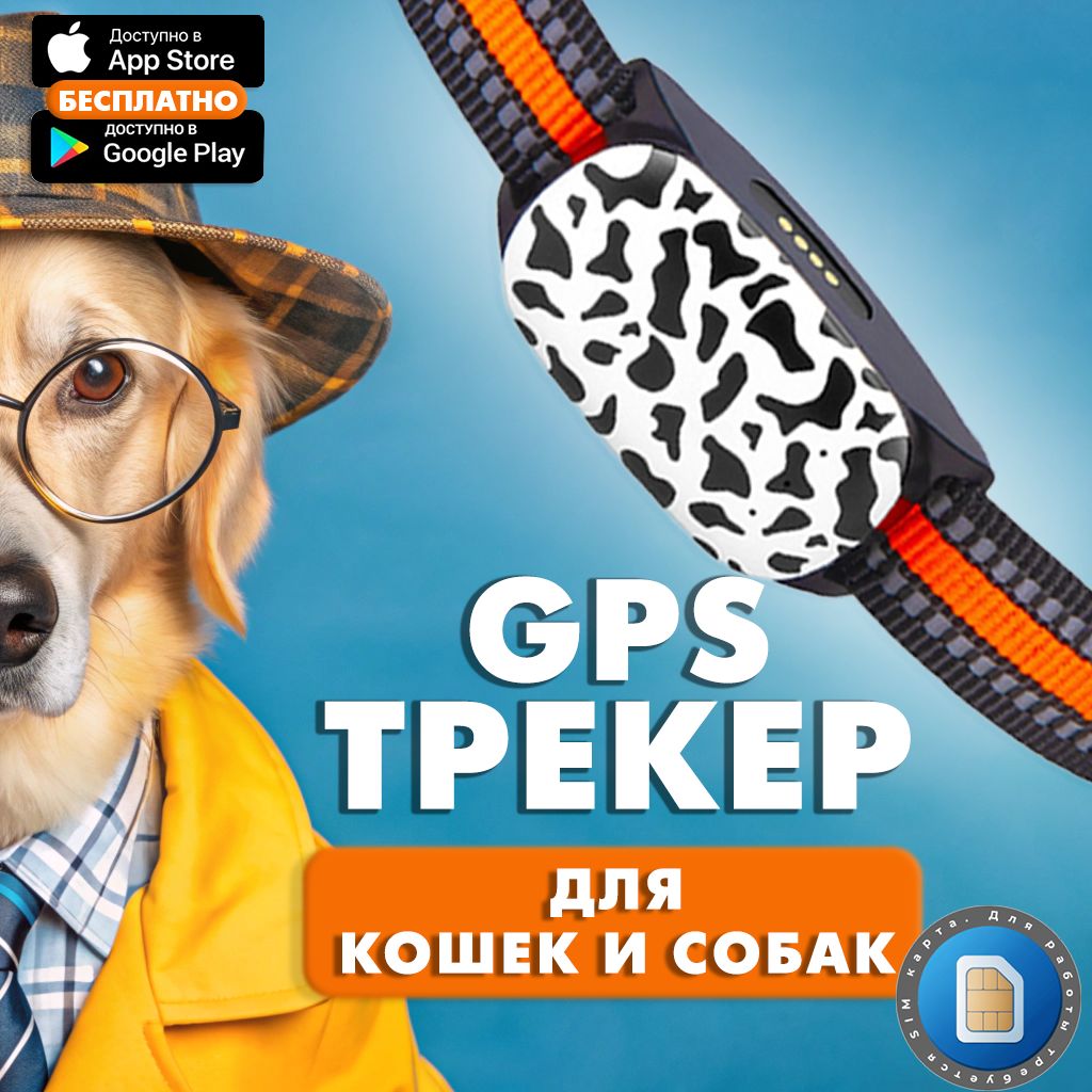 GPS трекер для кошек и собак