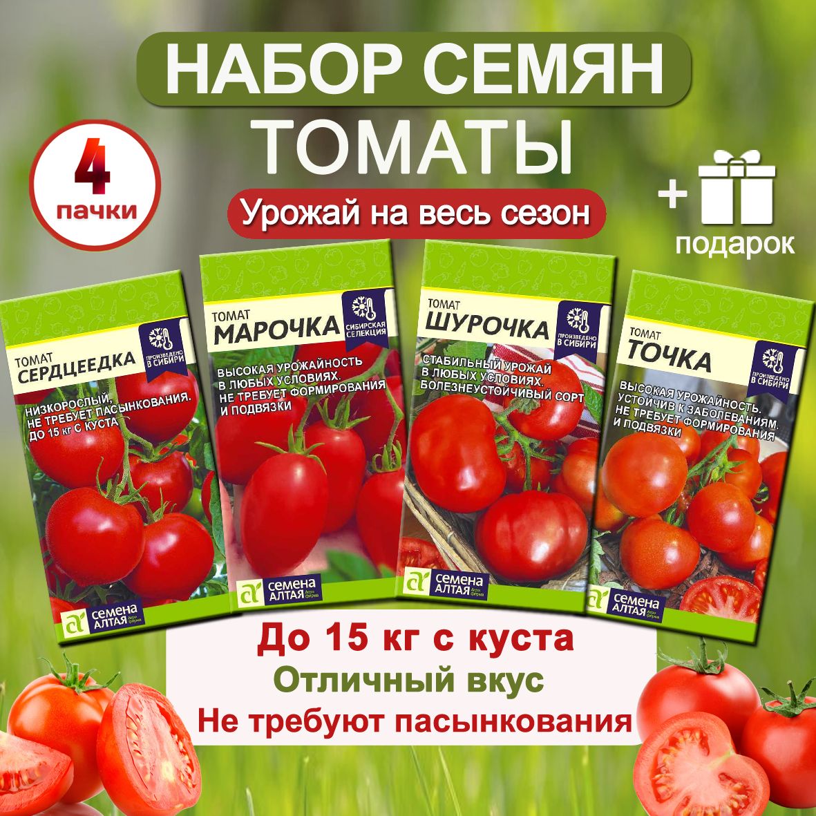 Семена Зяпуняка Помидор Купить