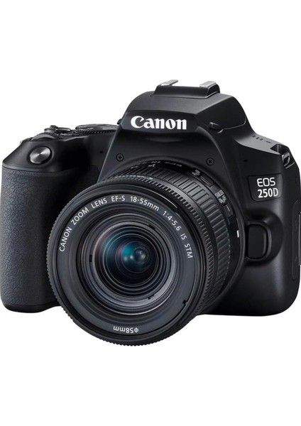 фотоаппарат Canon Eos 250 D+18-55 мм объектив Stm