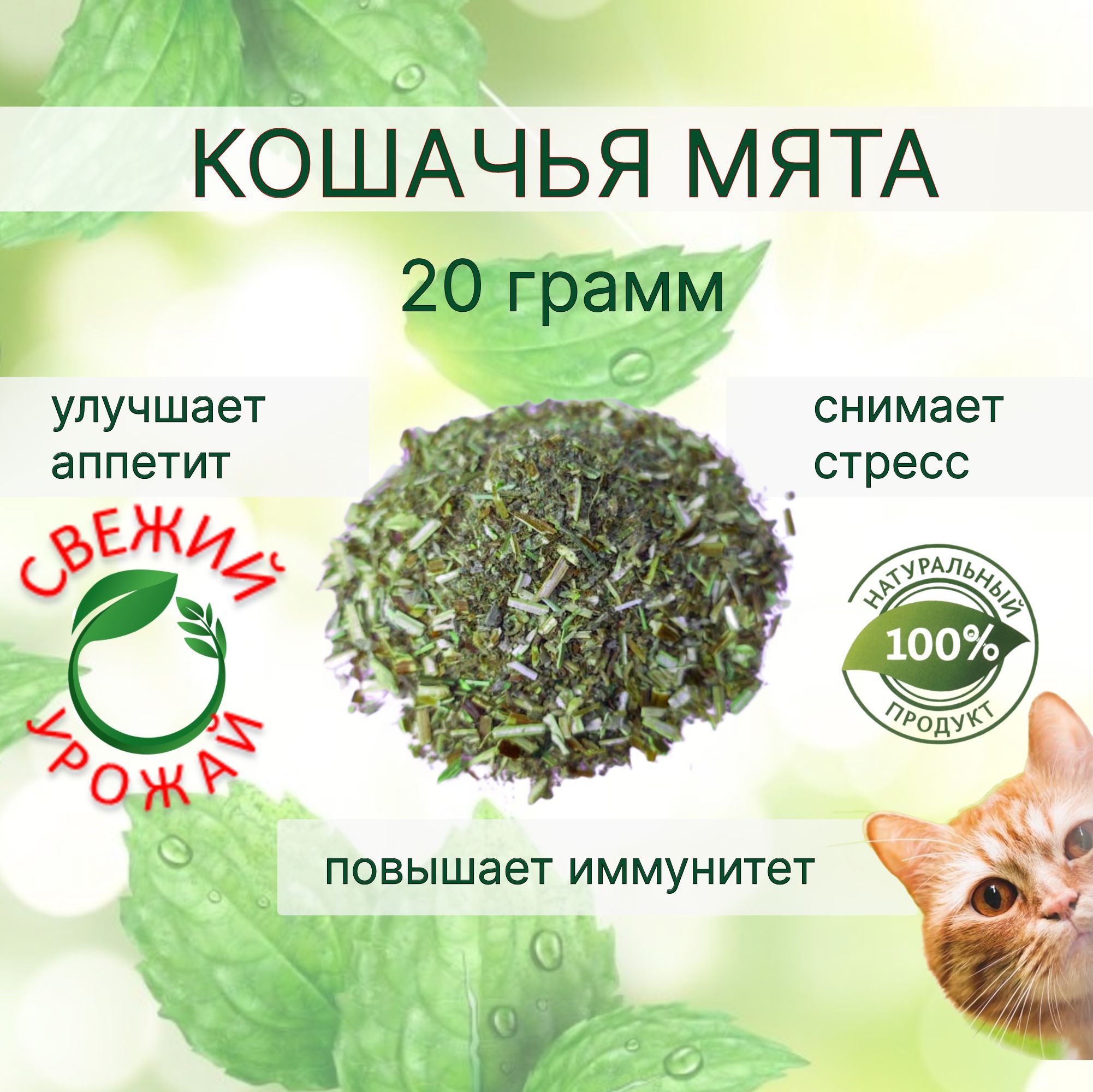 Кошачья мята сушеная лакомство для кошек и котов 20 грамм в пакете (измельченная). Котовник рассыпной - трава для когтеточки, приучения к месту, коррекции поведения, успокоительное, антистресс