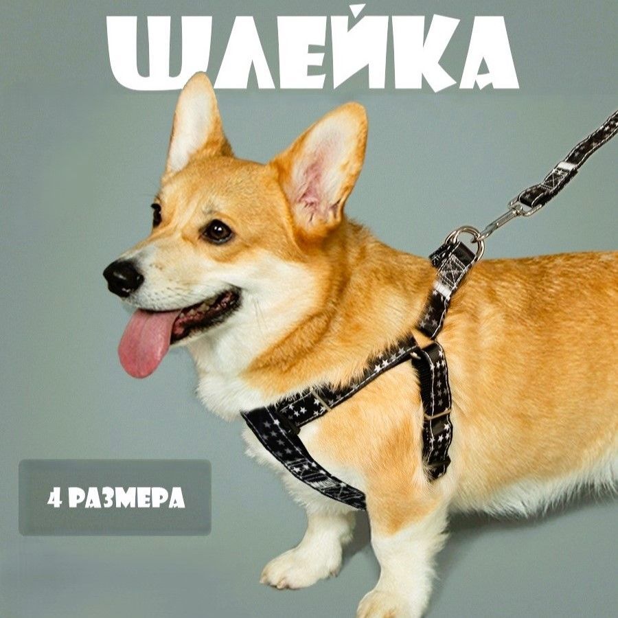 ШлейкадлясобакмелкихисреднихпородикошекMiloPets,споводком120см,обхватгрудиМ32-48см