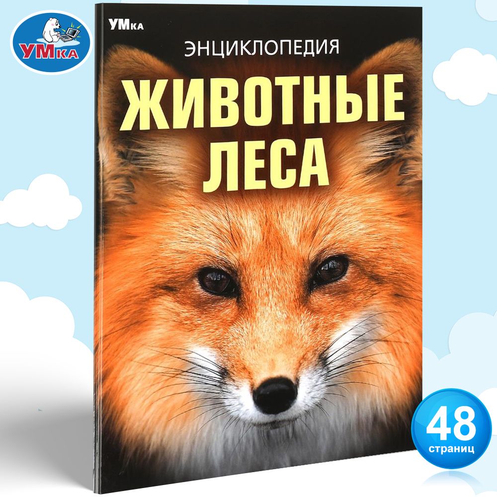 Энциклопедия для детей Животные леса, Умка