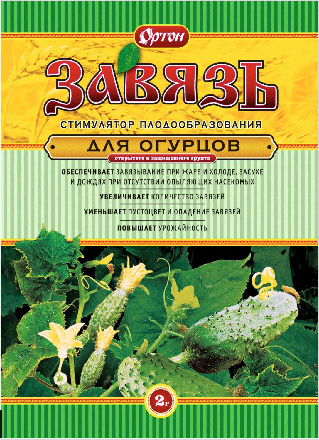 Огурец не завязывает плоды