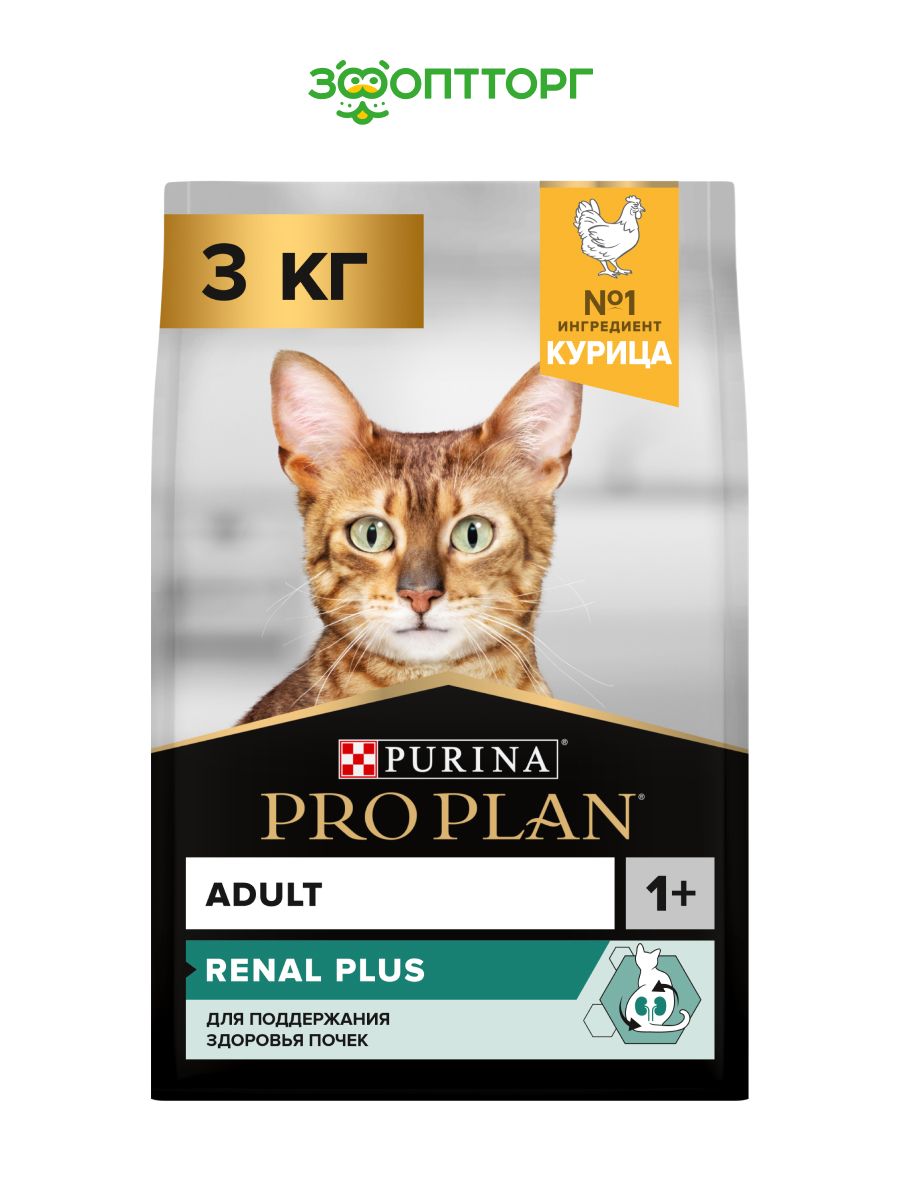 Купить Корм Pro Plan Для Котят