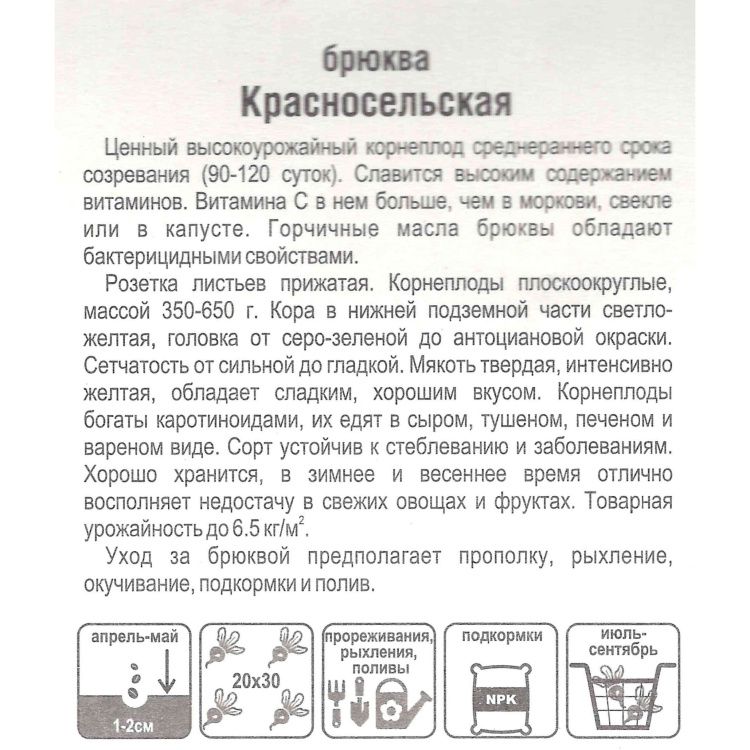 Брюква Красносельская(图2)