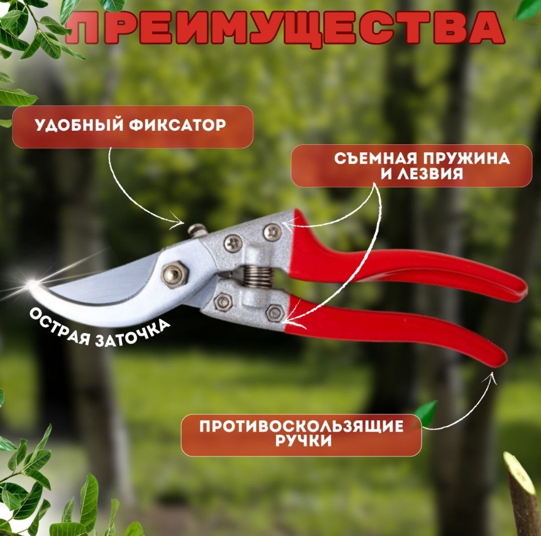 Секатор садовый / для сада / дачи и растений(图2)
