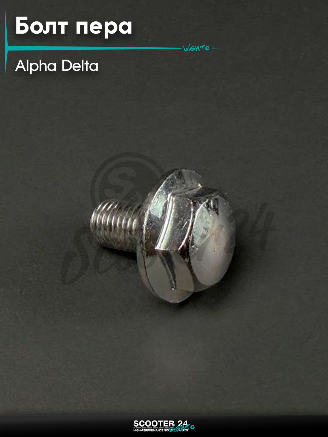 Болт пера передней вилки на мопед, мотоцикл ALPHA, DELTA / Альфа, Дельта