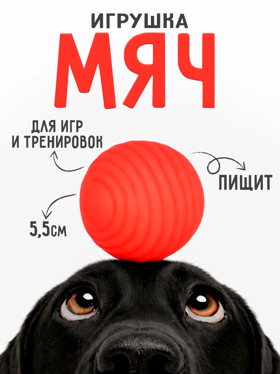Игрушки для собак / Мячик с пищалкой / Для крупных и мелких пород, 5,5 см