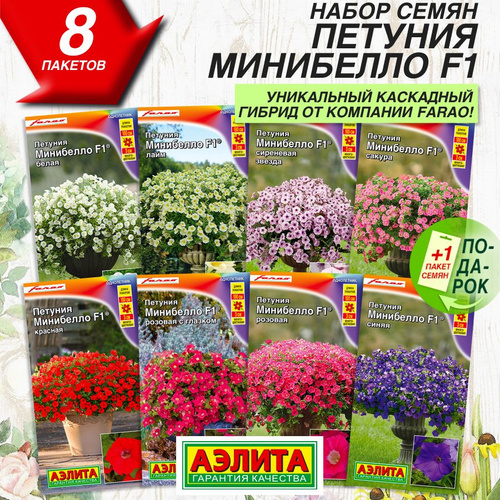 3082 отзыва на Набор семян цветов Петуния мини Минибелло F1 8 сортов от ...