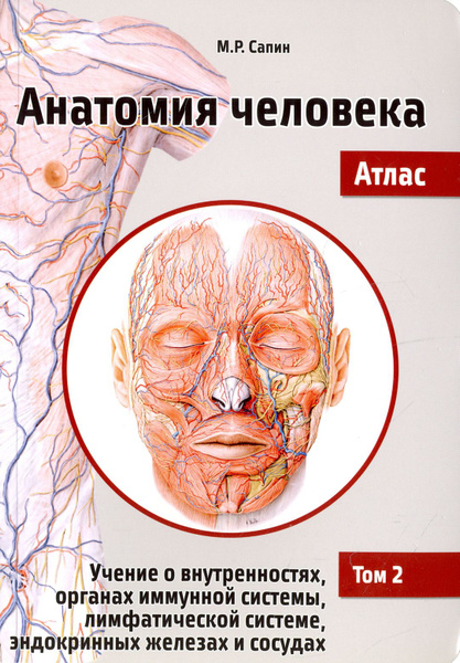 Анатомия человека. Атлас. Учебное пособие в 3-х томах. Том 2 | Сапин ...