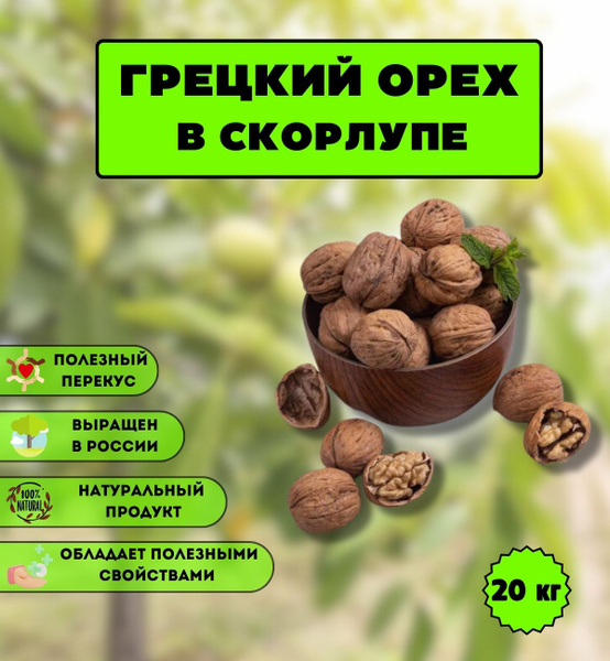 Грецкий орех неочищенный 20кг - купить с доставкой по выгодным ценам в ...