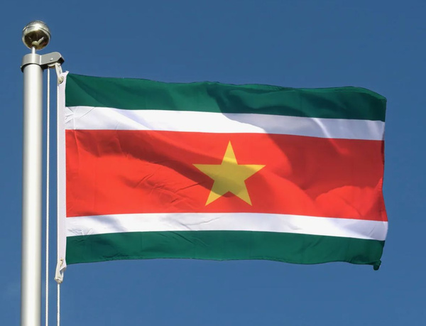 Как выглядит флаг suriname