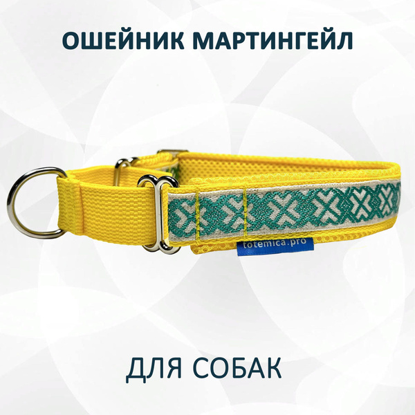Ошейник для собак мартингейл (полуудавка) "Изумрудный дракон". M ...