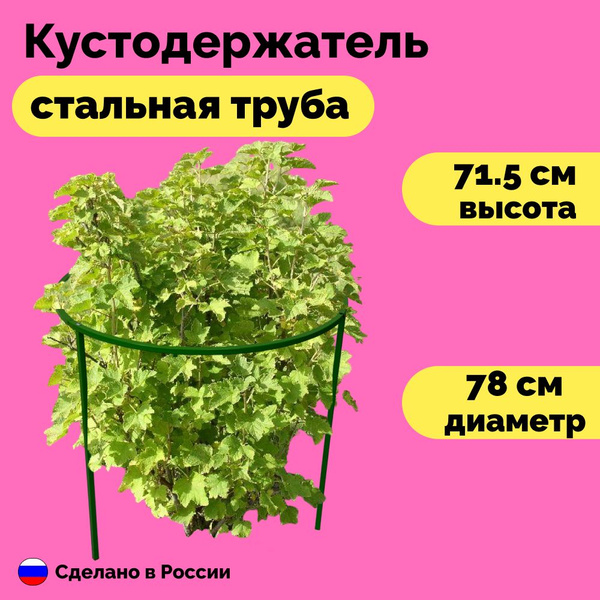 Кустодержатель металлический садовый для смородины и крыжовника ...