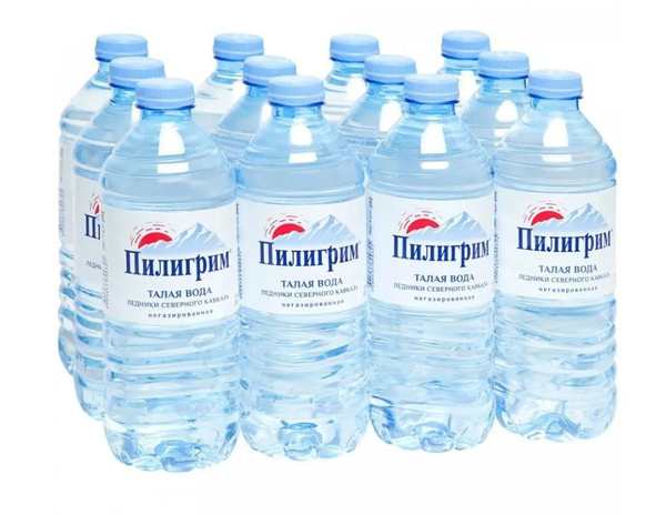 Вода Пилигрим негазированная 0,5 л х 12 бут - купить с доставкой по ...