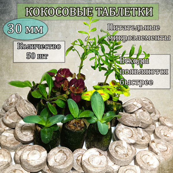 Торфяные таблетки для рассады. Кокосовые таблетки для рассады, 30 мм ...