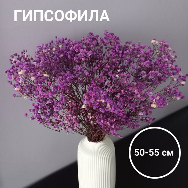 Стабилизированные цветы Гипсофила, 55 см, 100 гр, 1 шт купить по ...
