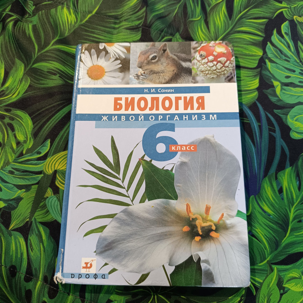 биология 6 класс Сонин Н.И - купить с доставкой по выгодным ценам в ...