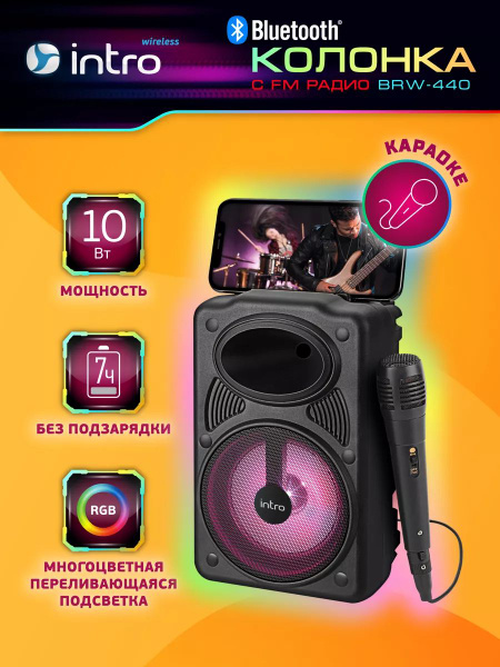 Аудиосистема Hi-Fi Sound + Караоке Микрофон Портативная беспроводная ...