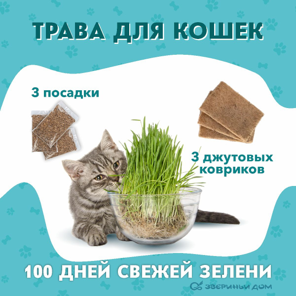Травка для кошек, набор для проращивания на 3 посадки, лакомство для ...