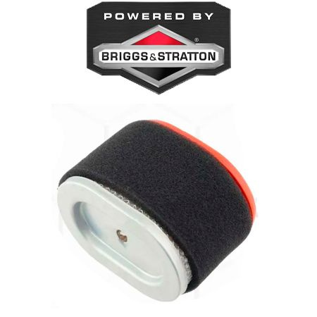 2 X COMBO FILTRO ARIA 796970 4238 PER Briggs&amp;Stratton