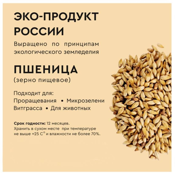 Пшеница для проращивания 5кг - купить с доставкой по выгодным ценам в ...